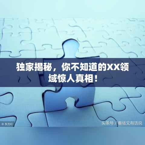 独家揭秘,你不知道的XX领域惊人真相!