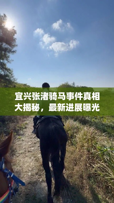 宜兴张渚骑马事件真相大揭秘,最新进展曝光