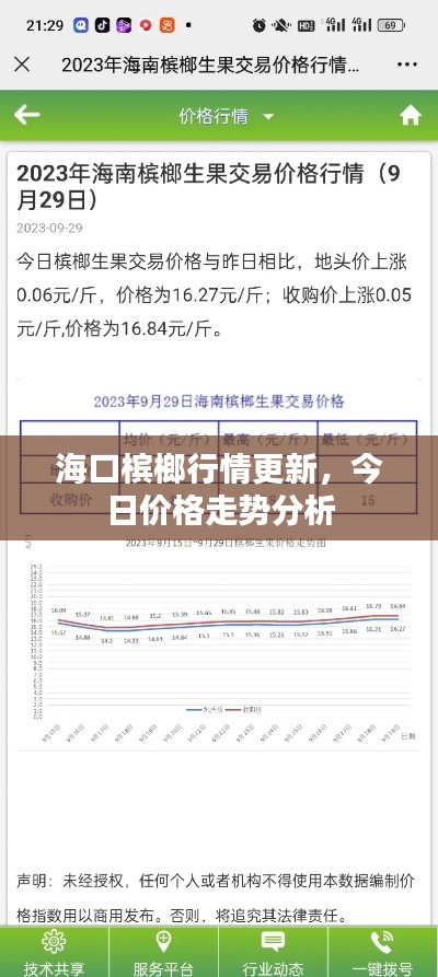 海口槟榔行情更新,今日价格走势分析