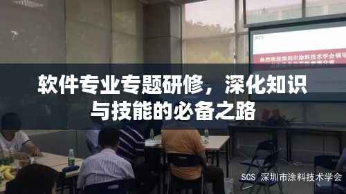 软件专业专题研修,深化知识与技能的必备之路