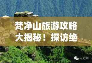 梵净山旅游攻略大揭秘!探访绝美风光,畅游自然仙境!