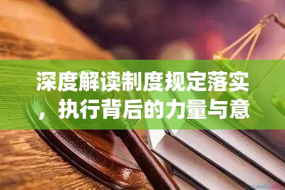 深度解读制度规定落实,执行背后的力量与意义
