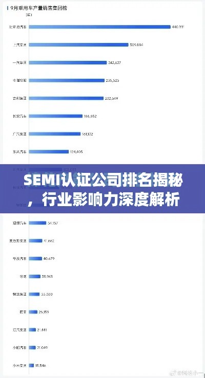 SEMI认证公司排名揭秘,行业影响力深度解析
