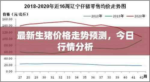 最新生猪价格走势预测,今日行情分析